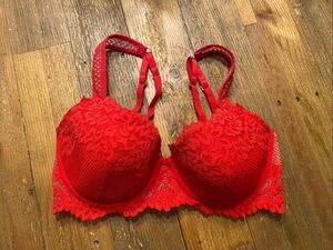 Pleasure State 34D white label red lace bra lingerie sexy